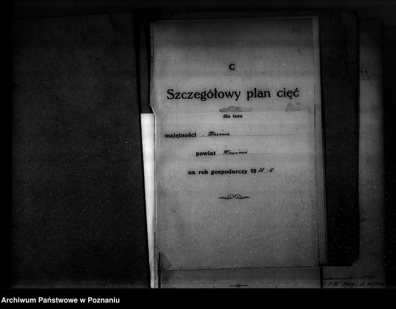 Obraz 16 z jednostki "Ogólny opis lasu majętności Września (plan cięć i plan urządzenia gospodarstwa leśnego)"