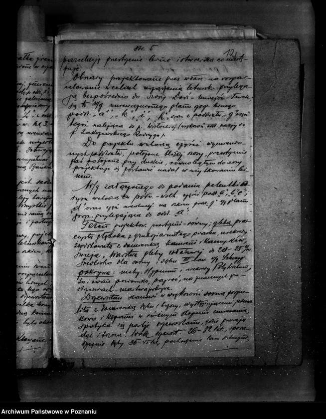 Obraz 16 z jednostki "Las majątku Napoleonów nr 1 własność Eweliny Wisłockiej powiat turecki"