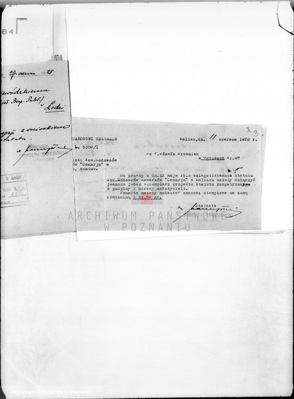 Obraz 8 z jednostki "/Towarzystwo Hodowców Kanarków,,Canaria" w Kaliszu/"