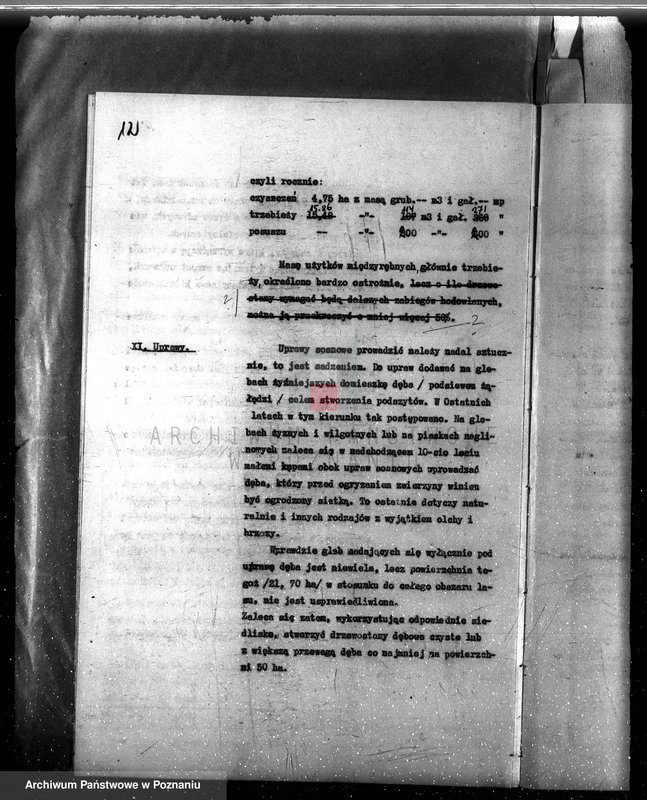 Obraz 16 z jednostki "Plan urządzania gospodarstwa leśnego dla lasu majętności Stary Białcz-Czacz powiat kościański 1935-1945"