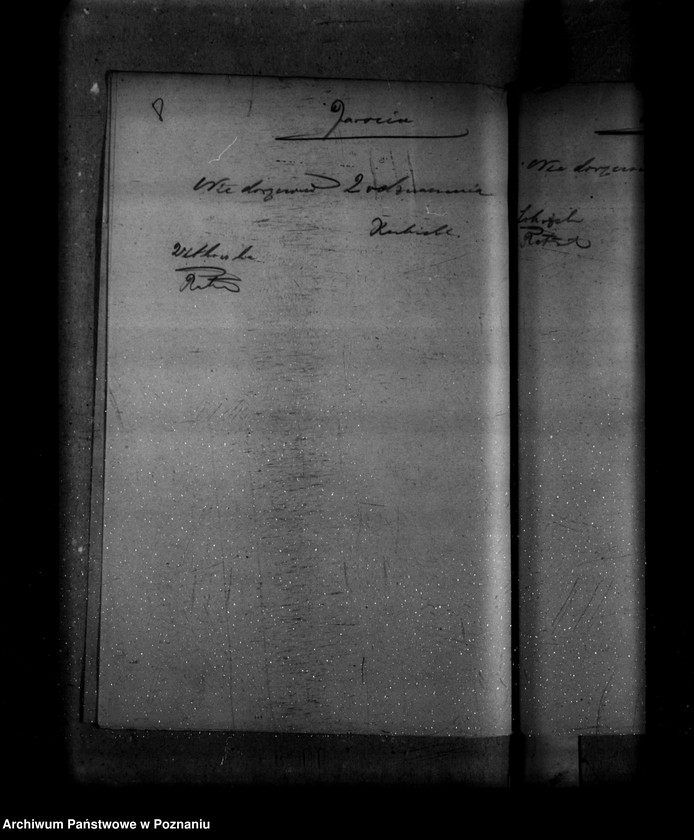 Obraz 12 z jednostki "/Doręczanie odznaczeń od października 1938 do grudnia 1938/"