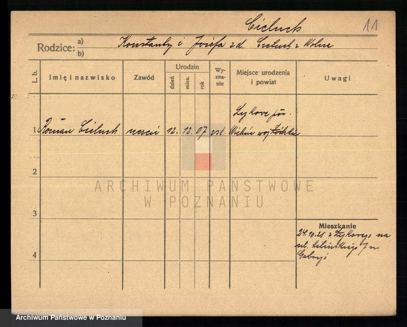 Obraz 13 z jednostki "Cieluch - Ciesielczyk"