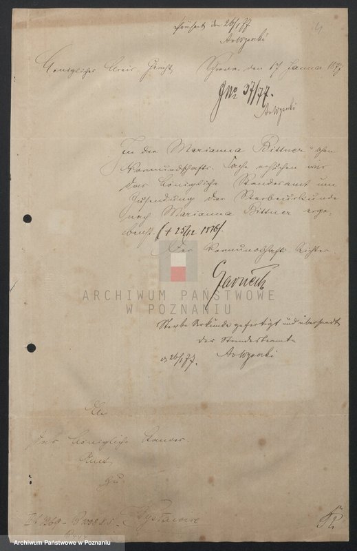 image.from.unit.number "Acta betreffend der Sammel Akten für schriftliche Gesuche oder Requisitionen um Ertheilung von Auszügen aus den Sterbe-Registern"
