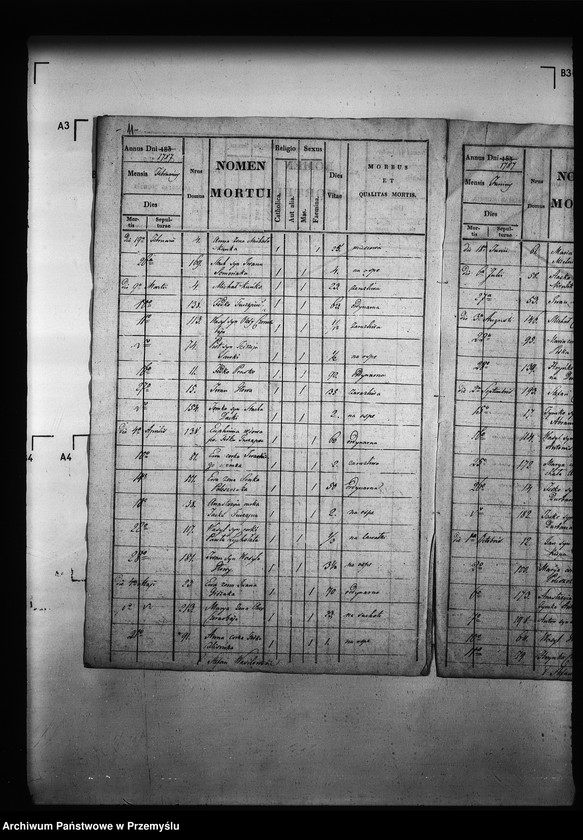 Obraz 16 z jednostki "[Kopie ksiąg metrykalnych parafii Zawadów (dekanat Niemirów)]"