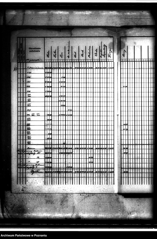 image.from.unit.number "/Rejestry pomiarowe i rejestry powierzchni majątku Bolęcin-Karna powiatu wolsztyńskiego"
