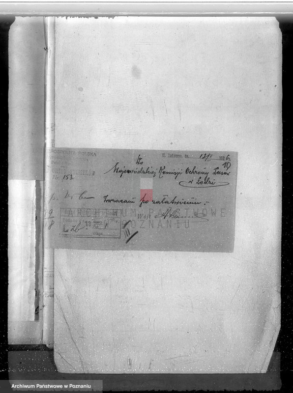 Obraz 14 z jednostki "Gmina Rzgów powiat koniński /nadzór nad gospodarką leśną/"