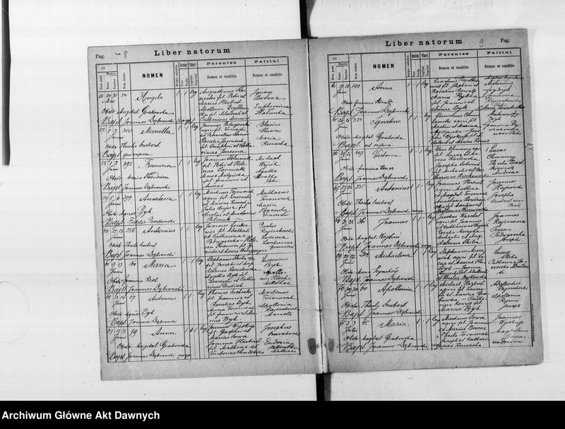 image.from.unit.number "Parafia: Barysz. Dekanat: Buczacz. Księga metrykalna urodzeń i ślubów 1889, 1891-1897, 1899 oraz zgonów 1889-1897, 1899 dla miasta Barysz i wsi: Puźniki*, Porchowa**, Weleśniów*, Zalesie Koropieckie*, Zrębówka (Zręby)*, Zubrzec**, Jezierzany, Wierzbiatyn."