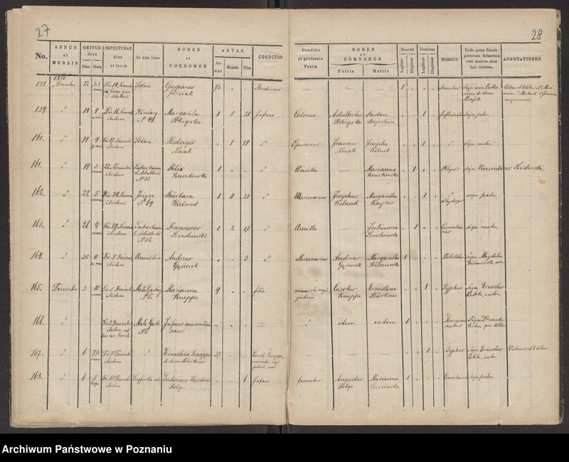 Obraz 16 z jednostki "Księga zgonów"