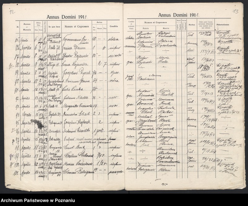 Obraz 9 z jednostki "Indeks zgonów"