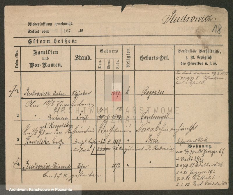 Obraz 18 z jednostki "Płudowski - Poczwardowski"