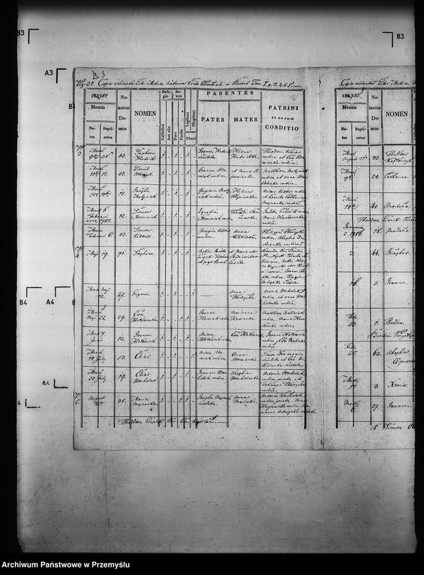 Obraz 7 z jednostki "[Kopie ksiąg metrykalnych parafii Berest z filią Polany (dekanat Grybów)]"
