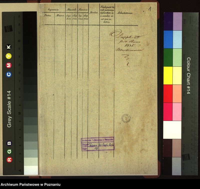 Obraz 3 z jednostki "Duplicat mortuorum"