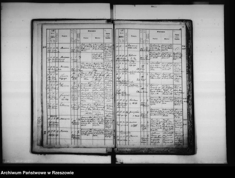 Obraz 20 z jednostki "Księga urodzeń - Łowisko"
