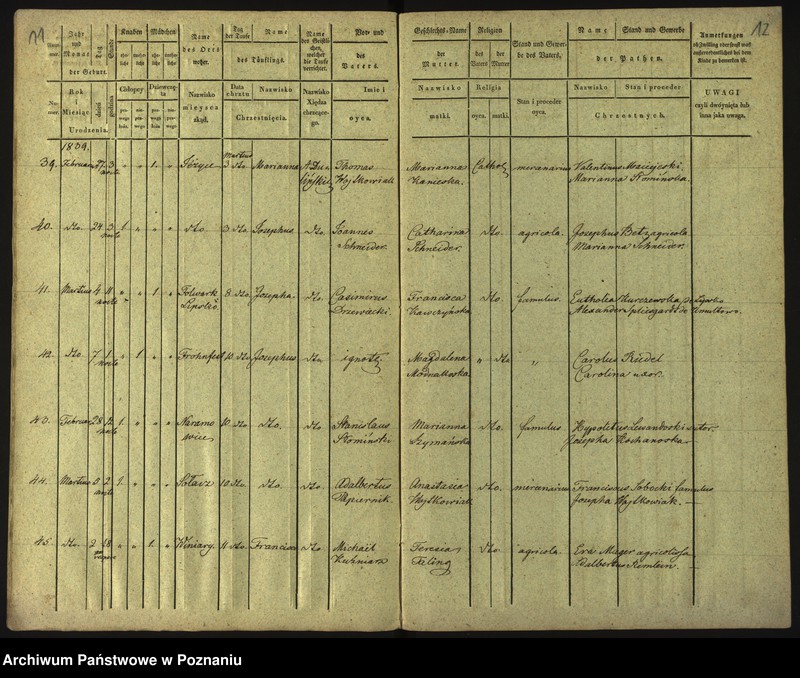 Obraz 9 z jednostki "Księga urodzeń"