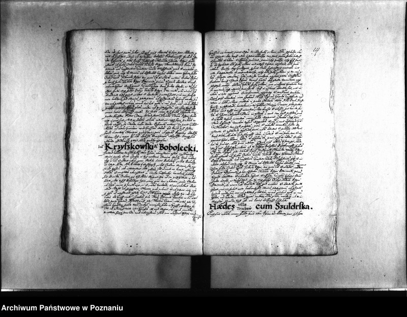 Obraz 17 z jednostki "Decreta [inducta]"