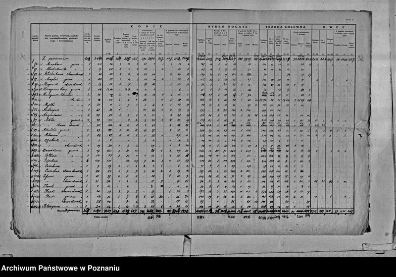Obraz 11 z jednostki "Spis koni, bydła, trzody chlewnej i owiec - zestawienie z terenu powiatu średzkiego"