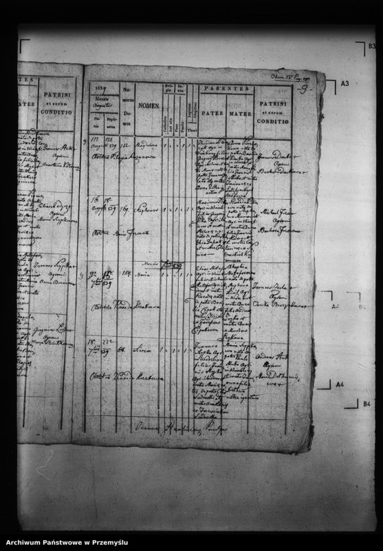 Obraz 14 z jednostki "[Kopie ksiąg metrykalnych parafii Wierzbiany (dekanat Niemirów)]"