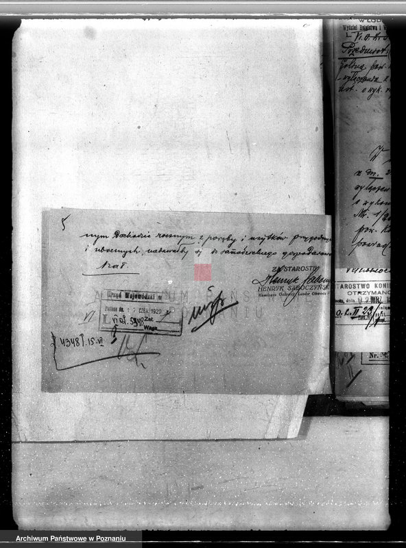 Obraz 9 z jednostki "Majątek Goliński powiat koniński /nadzór nad gospodarką leśna/"