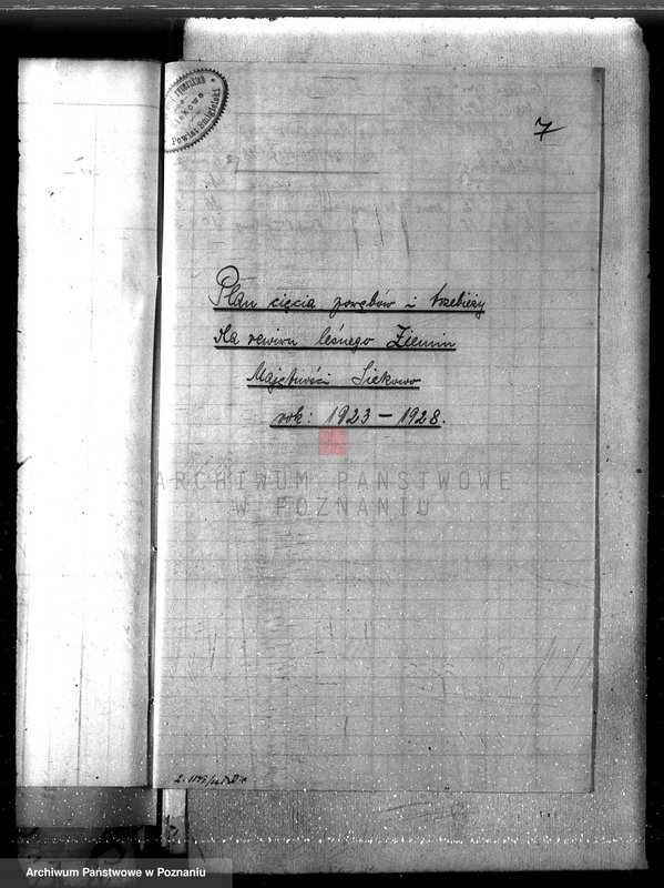 Obraz 11 z jednostki "Majętność leśna /Siekówko/ powiat kościański"