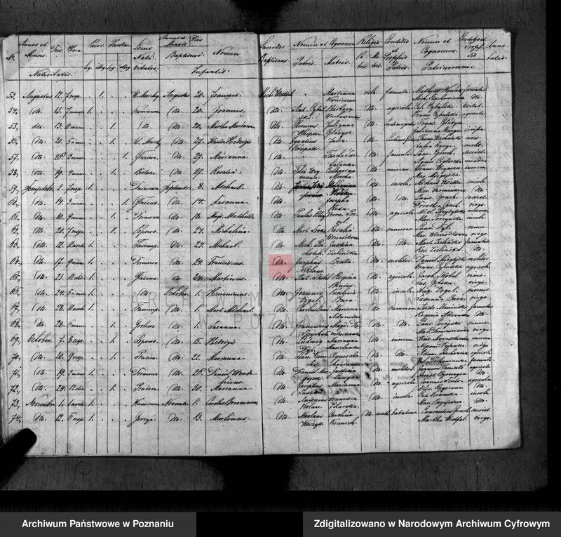 Obraz 10 z jednostki "Duplikat baptisatorum, copulatorum, mortuorum"