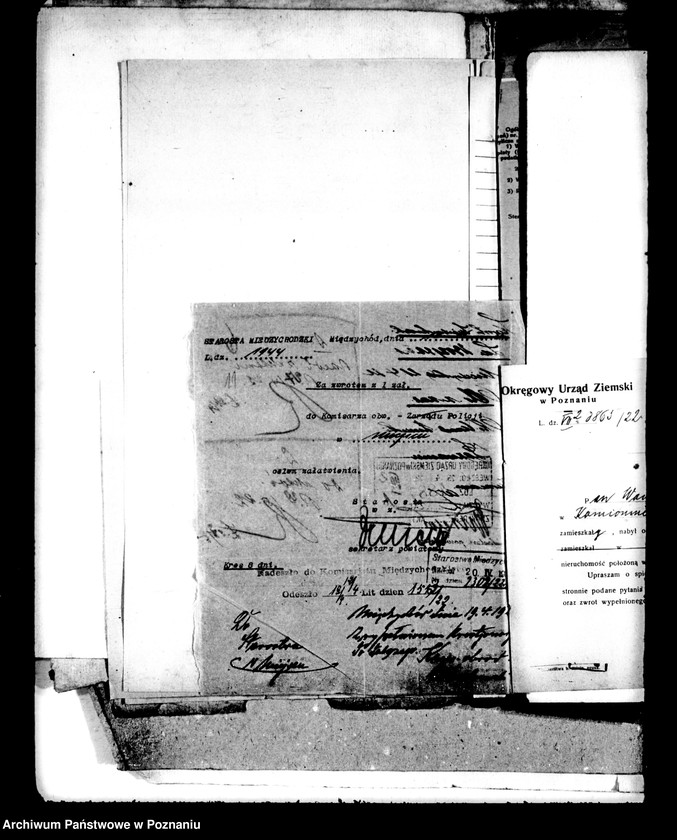 Obraz 15 z jednostki "Działki nr 1 i 2a w Kolnie powiatu międzychodzkiego Wawrzyn Dykczak osada parcelacyjna"