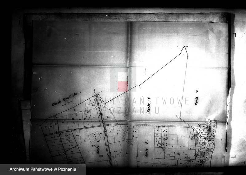 Obraz 8 z jednostki "Przewłaszczenie ziem dotacyjnych Panigródz powiat wągrowieckiego"