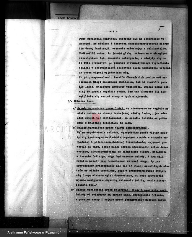 Obraz 9 z jednostki "Las majętność /Siekówko/ powiat kościański plan urządzenia 1933-1943"