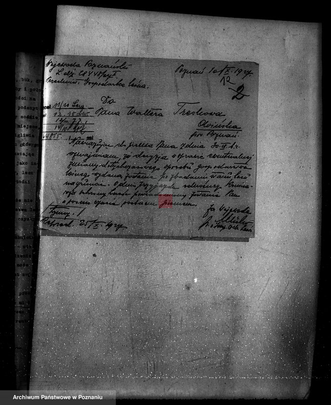 Obraz 16 z jednostki "Nadzór nad gospodarką w lasach majętności Owińska powiat poznański"