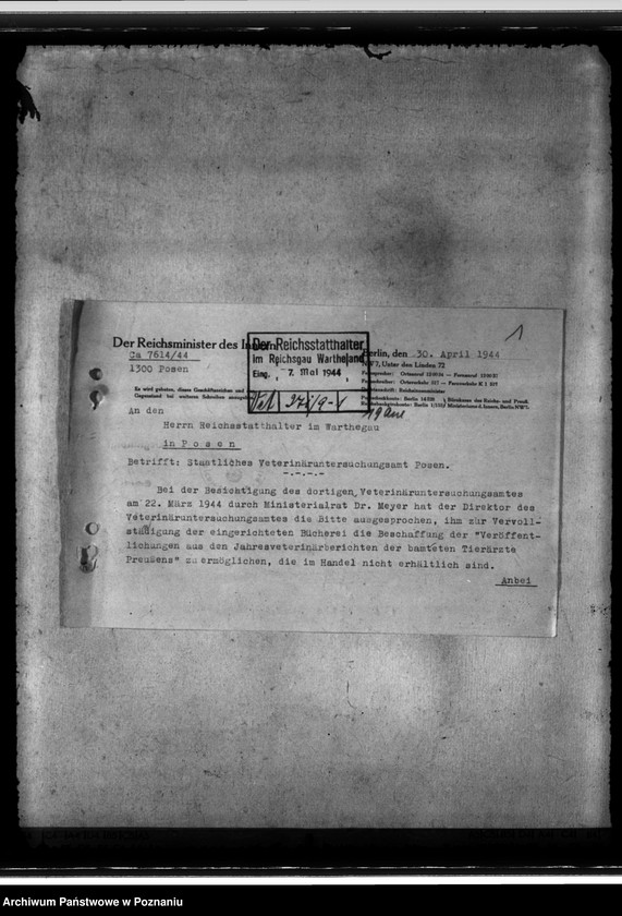 Obraz 5 z jednostki "Veterinäruntersuchungsamt. Bekämpfung der Viehseuchen. Tiergesundheitsamt der Landesbauernschaft"