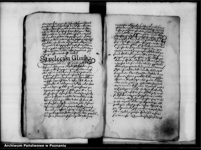 Obraz 19 z jednostki "Inscriptiones, relationes [inducta]"