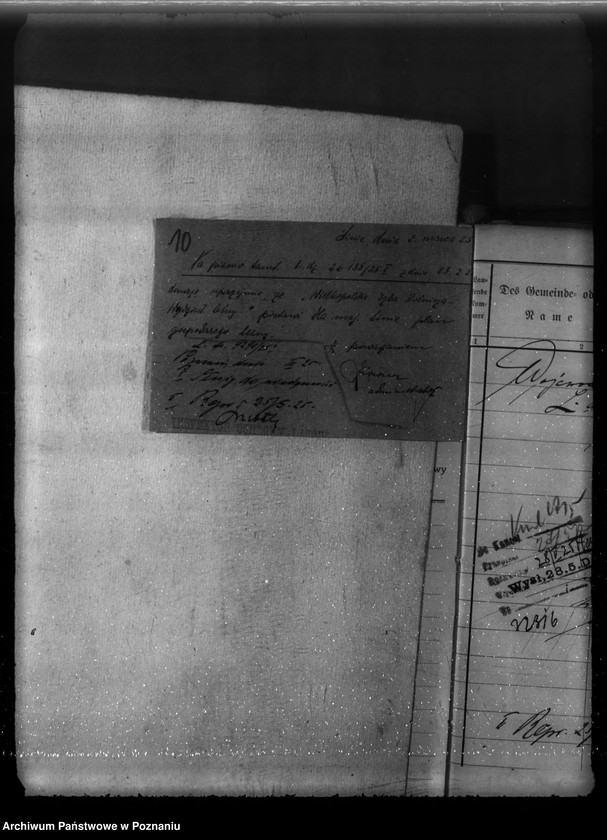 Obraz 14 z jednostki "Majętność leśna Linie w powiecie nowotomyskim"