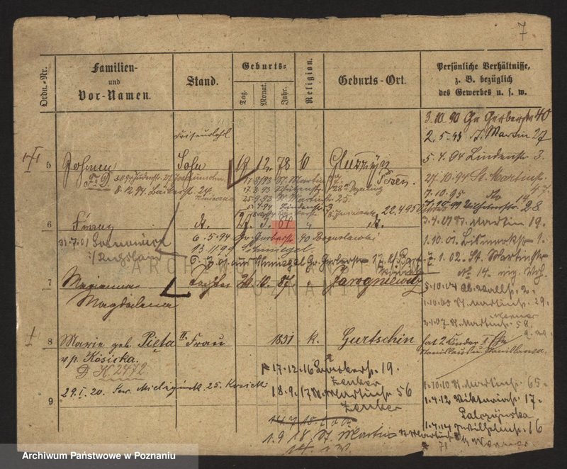 Obraz 9 z jednostki "Dzikowski - Dzyskowska"