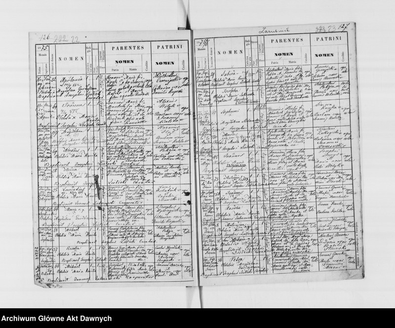 image.from.unit.number "Parafia: Ostapie (Grzymałów)*. Dekanat: Skałat. Księga metrykalna urodzeń tylko dla wsi Zarubińce. Tom I."