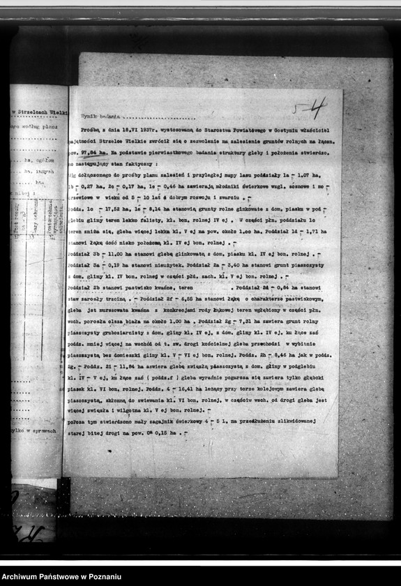 Obraz 9 z jednostki "Las majątku Strzelce-Wielkie w powiecie gostyńskim"