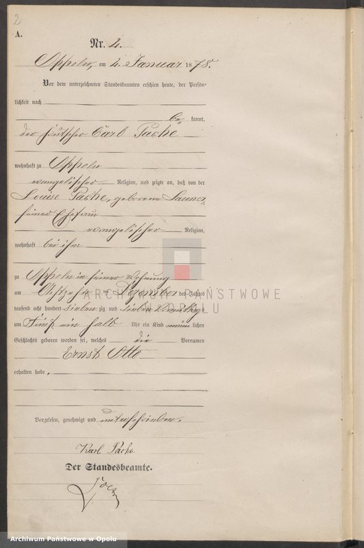 Obraz 6 z jednostki "Urząd Stanu Cywilnego w Opolu 1878 Rejestr Urodzeń Księga Miejscowa Nr 1 do 487"