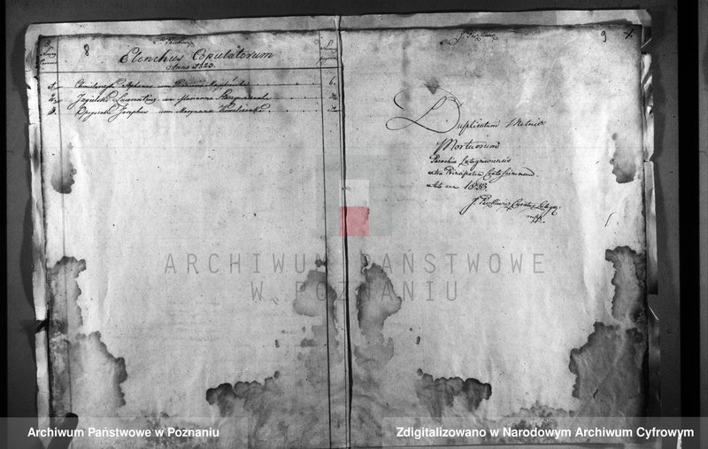 image.from.unit.number "Duplicatum baptisatorum, copulatorum, mortuorum"