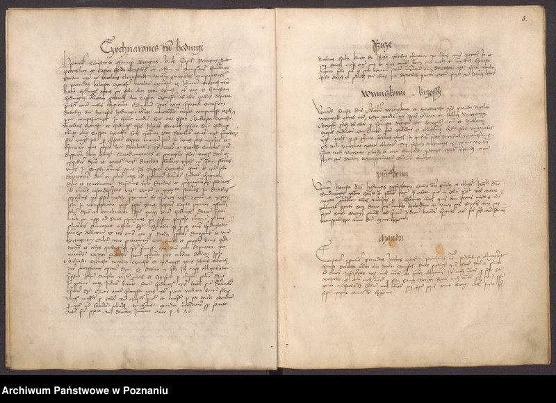 Obraz 6 z jednostki "Liber actuum et mandatuum ...consulum Liber ab anno 70 ad 94-tum."