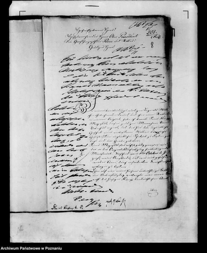 Obraz 12 z jednostki "Das Pensionsgesuch der Witwe Sophie von Zołtowska geborene Kowalska."