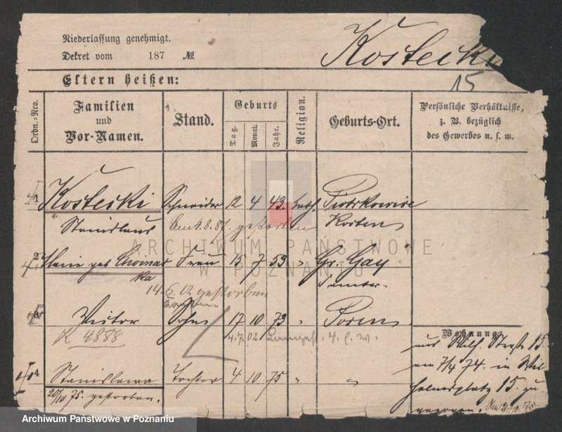 Obraz 15 z jednostki "Koste - Kosubek"