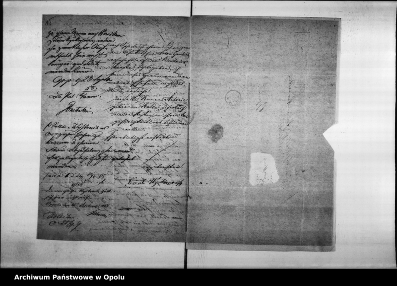 Obraz 15 z jednostki "Acta des Magistrats zu Oppeln betreffend Polizei - Verwaltung.Vol II"