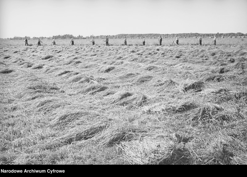 image.from.object.part1 image.from.object.part2