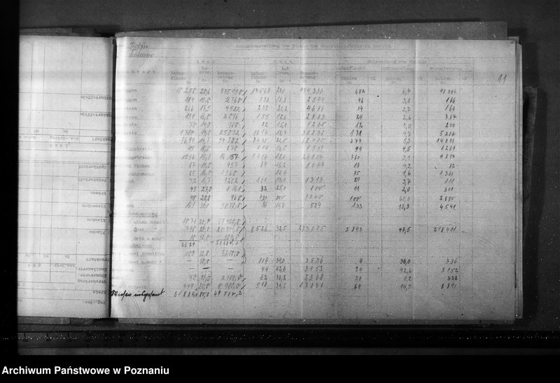 Obraz 15 z jednostki "Porównanie zbiorów zboża, słomy i siana"