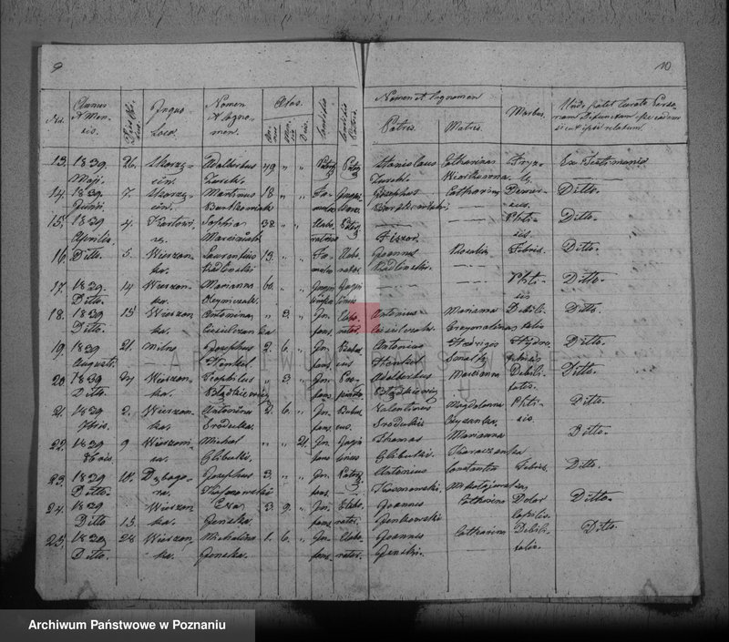 Obraz 8 z jednostki "Duplikat mortuorum"
