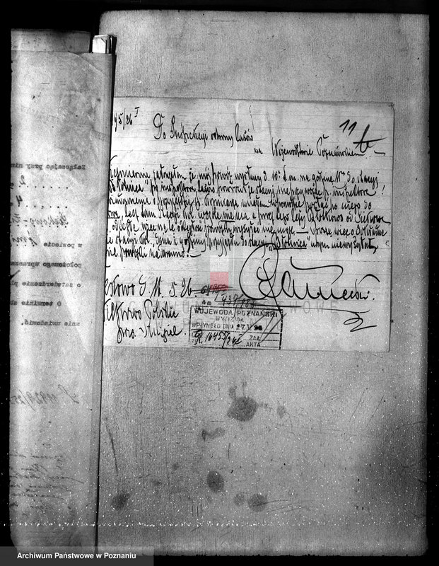 Obraz 15 z jednostki "Majętność leśna /Siekówko/ powiat kościański"