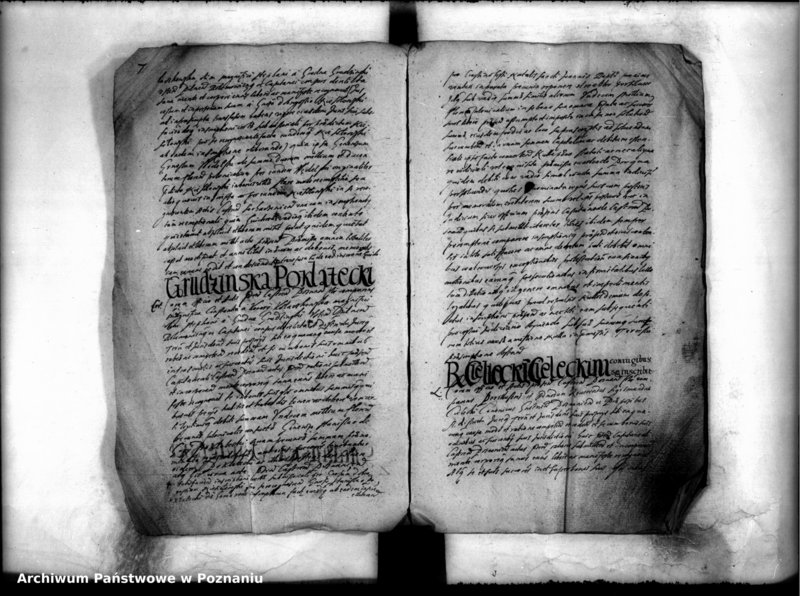 Obraz 9 z jednostki "Inscriptiones [inducta]"