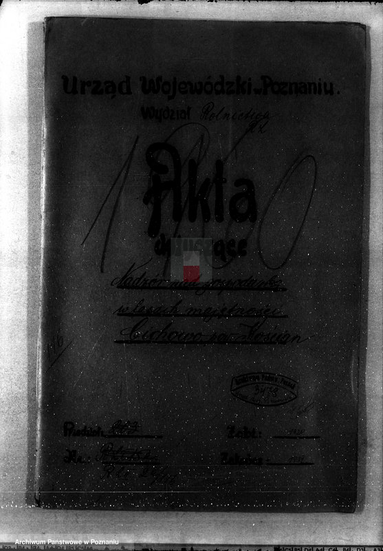 Obraz 4 z jednostki "Nadzór nad gospodarką w lasach majętności Cichowo powiat kościański"