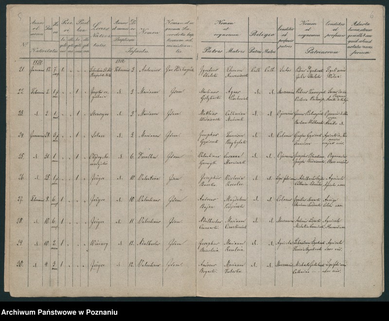 Obraz 5 z jednostki "Księga urodzeń"