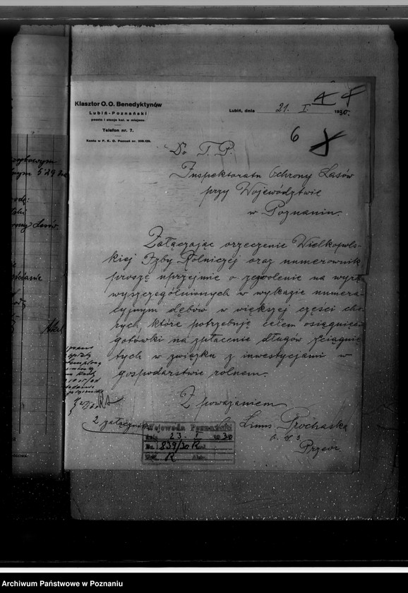 Obraz 10 z jednostki "Nadzór nad gospodarką w lasach O.O. Benedyktynów w Lubiniu powiat kościański"