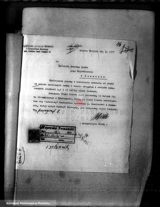 Obraz 20 z jednostki "Las majętności Bieczyny powiat kościański"