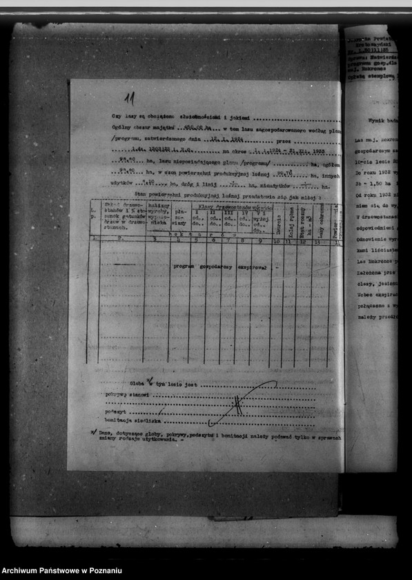 Obraz 15 z jednostki "Nadzór nad gospodarką leśną majętności Mokronos powiat krotoszyński"